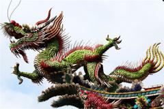 属龙人的性格如何？