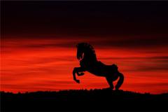 2019年属马的人今年多大