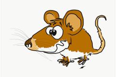 属鼠年龄查询及运势分析