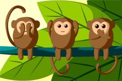 属猴本命年需要注意什么？