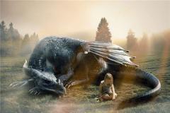 属龙的和什么属相相刑