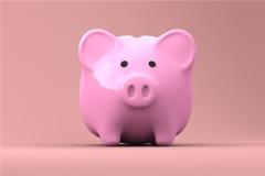 属猪的和什么属相相刑