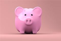 猪年本命年吉祥物有哪些？