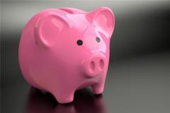 1995年属猪是什么命