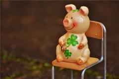 属猪和什么属相相配？