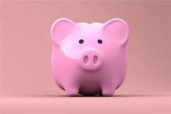 生肖猪的属相婚配表