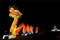 属龙的命运好吗