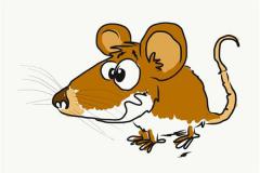 属鼠人的属相婚配表