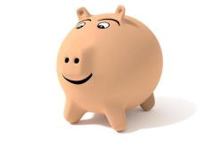 2019是什么生肖年