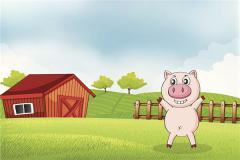 2020年属猪人的运势