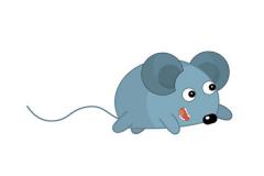 1984年属相婚配表