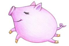 83年属什么，2020年运势如何