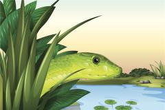 2020年属蛇运势预测