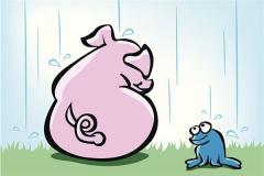 1971年生肖猪每月的运势