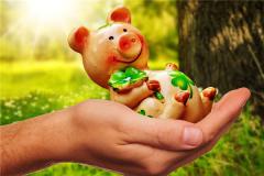 属猪人运势好吗