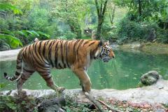 1986年出生是什么命呢