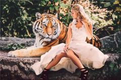 1962年属什么生肖的