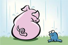 属猪人的命运怎样