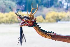 属龙人的性格倔强吗