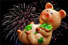 07年猪哪个时辰出生好