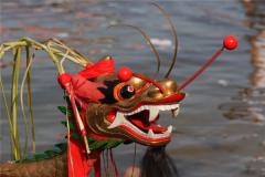 属龙人2021年运势如何 2021年属龙男女的全年每月运势