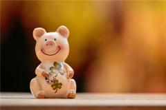 属相猪的脾气急吗