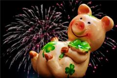 猪年女人的性格特质