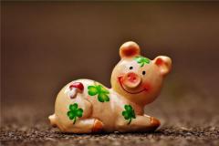 属猪的脾气性格