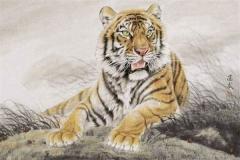 属虎人的幸运数字和幸运颜色