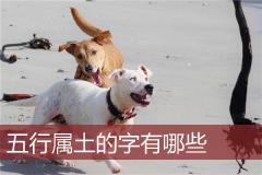 五行属土的字有哪些