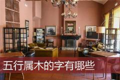 五行属木的字有哪些