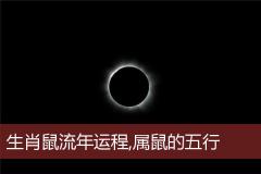 生肖鼠流年运程,属鼠的五行