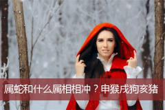 属蛇和什么属相相冲？申猴戌狗亥猪