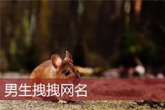 男生拽拽网名