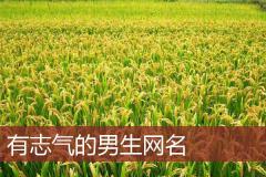 有志气的男生网名