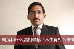 属兔和什么属相最配？从生肖相合来看