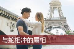 与蛇相冲的属相