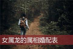 女属龙的属相婚配表