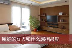属蛇的女人和什么属相最配