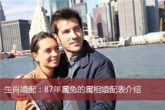 生肖婚配：87年属兔的属相婚配表介绍