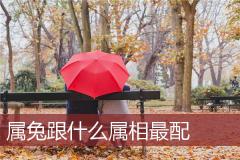 属兔跟什么属相最配