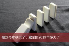 属龙今年多大了，属龙的2019年多大了