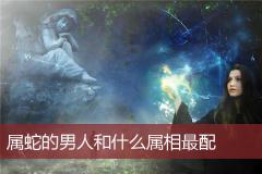 属蛇的男人和什么属相最配