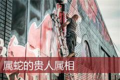 属蛇的贵人属相