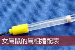 女属鼠的属相婚配表