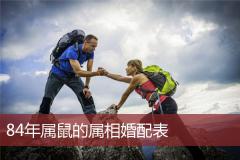 84年属鼠的属相婚配表