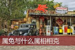 属兔与什么属相相克