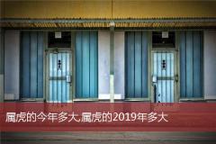 属虎的今年多大,属虎的2019年多大