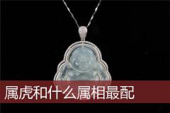 属虎和什么属相最配