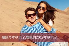属鼠今年多大了,属鼠的2019年多大了